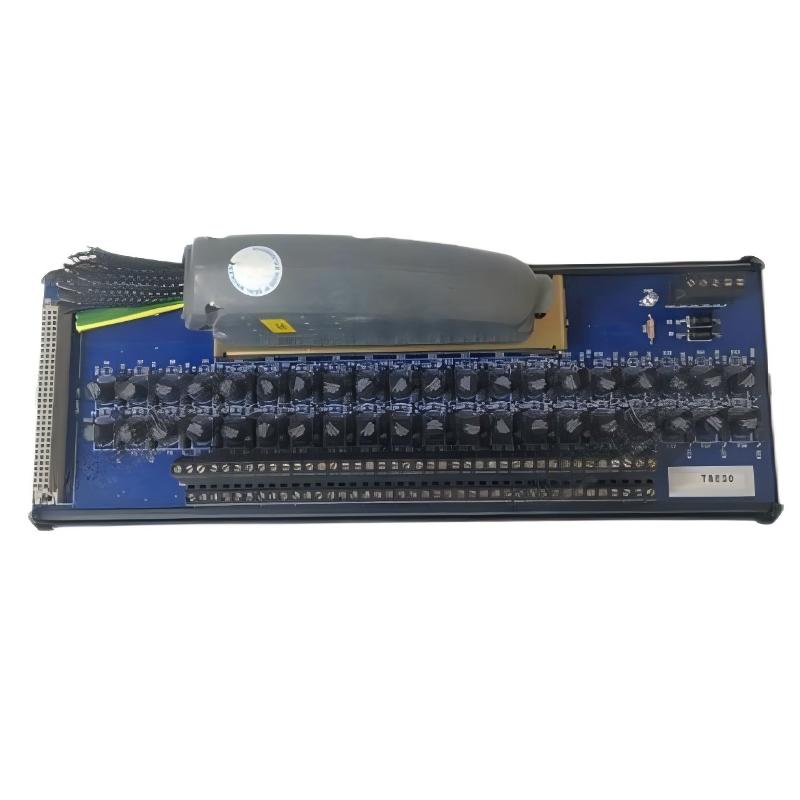 ICS Triplex T8830 Analog Input Module