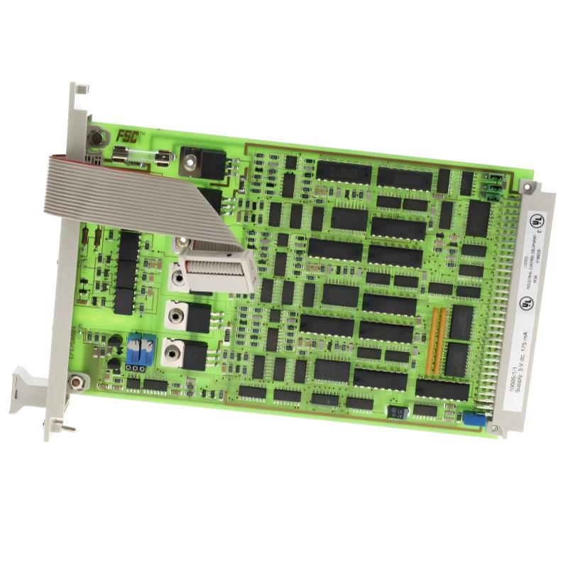 Honeywell 10005/1/1 Watch Dog Module