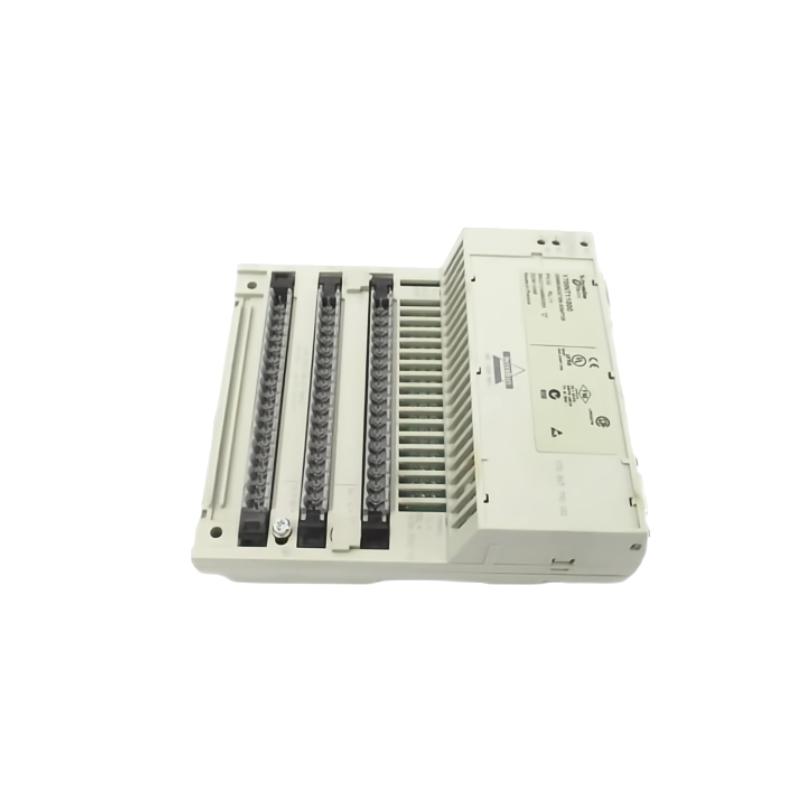 Schneider 170INT11000 High-Precision Industrial Interface Module for Reliable Data Acquisition and Control in Automation Systems