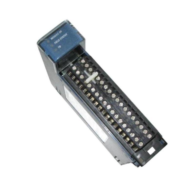 GE IC695ALG112 Analog Input Module