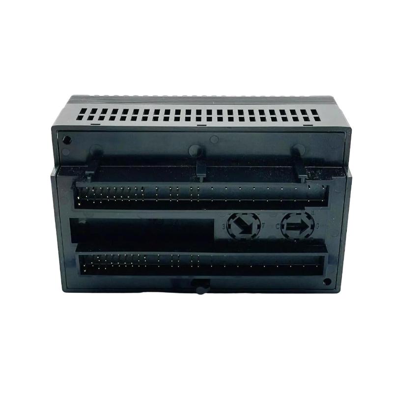 IC200ALG325 (1)