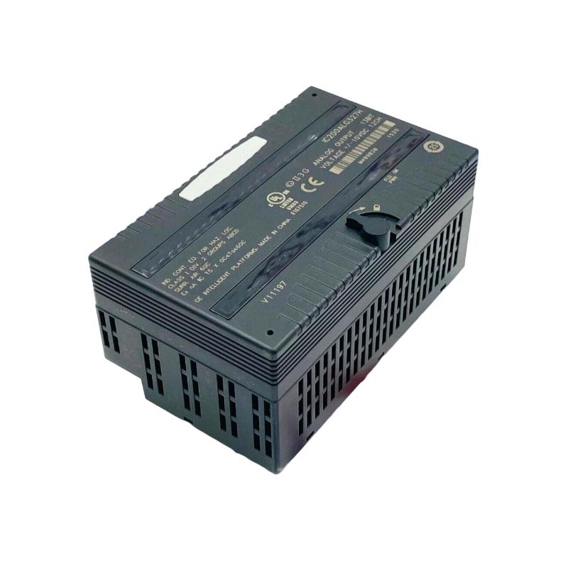 IC200ALG325 (4)