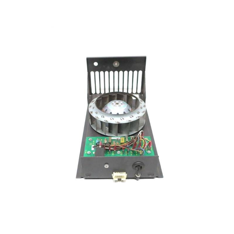 IPFAN11-4