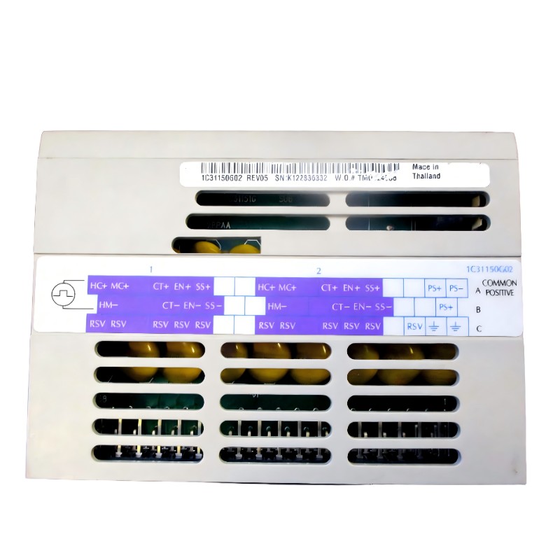 Ovation 1C31150G02 Pulse Accumulator Module