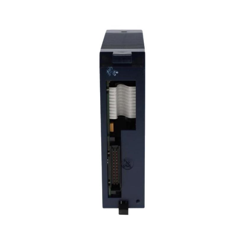 IC694ALG222 (2)