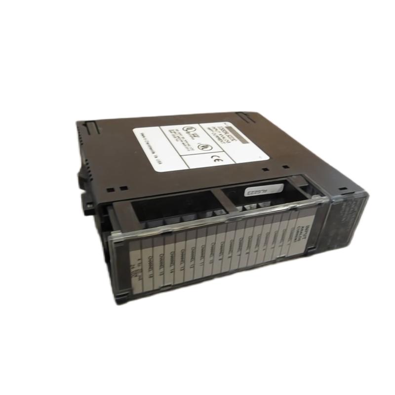 IC693ALG223C 4