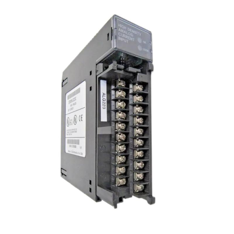 IC693ALG223 (4)