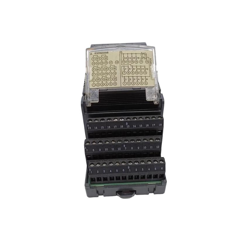 IC200MDD845 4